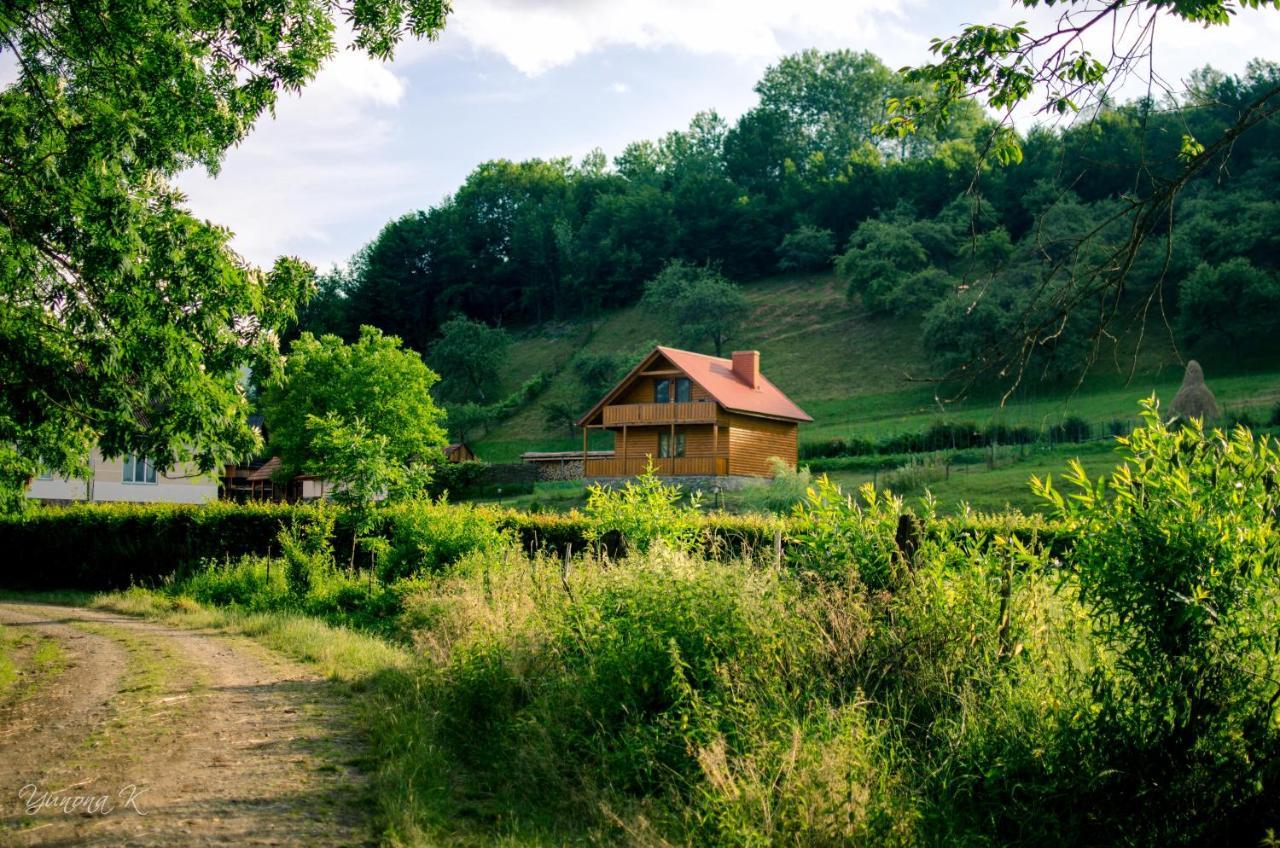 Sadiba Liskovec Villa Dubrinich na Beregu Екстериор снимка