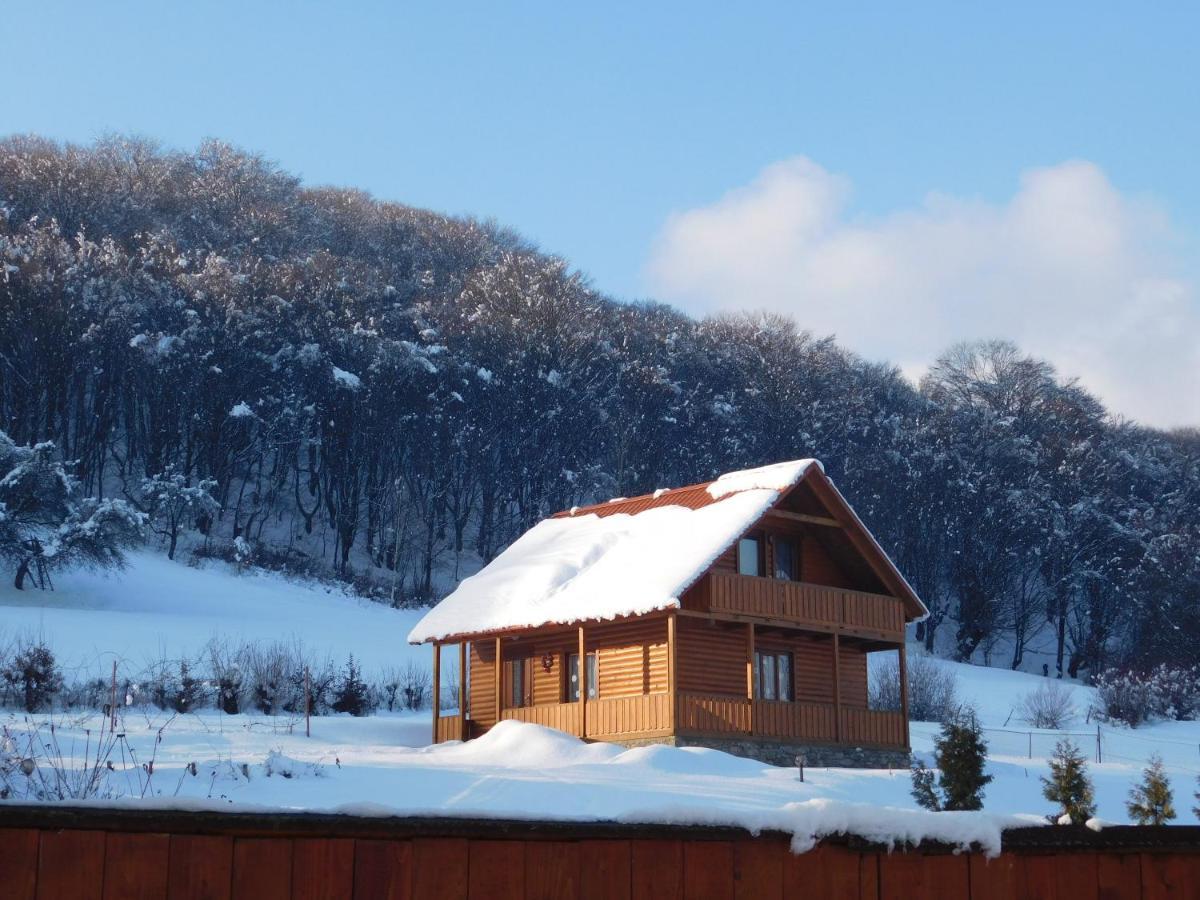 Sadiba Liskovec Villa Dubrinich na Beregu Екстериор снимка