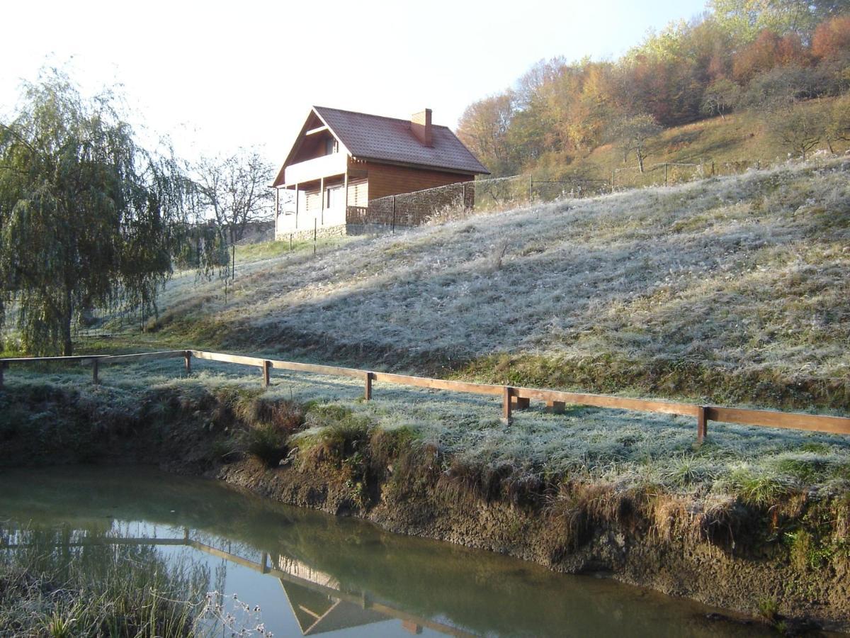 Sadiba Liskovec Villa Dubrinich na Beregu Екстериор снимка