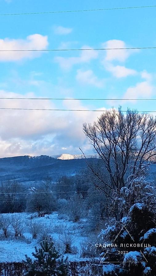 Sadiba Liskovec Villa Dubrinich na Beregu Екстериор снимка